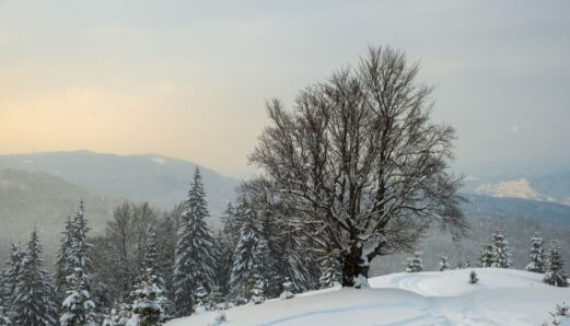 Zima w Beskidach - odkryj najlepsze miejsca na narty i snowboard!